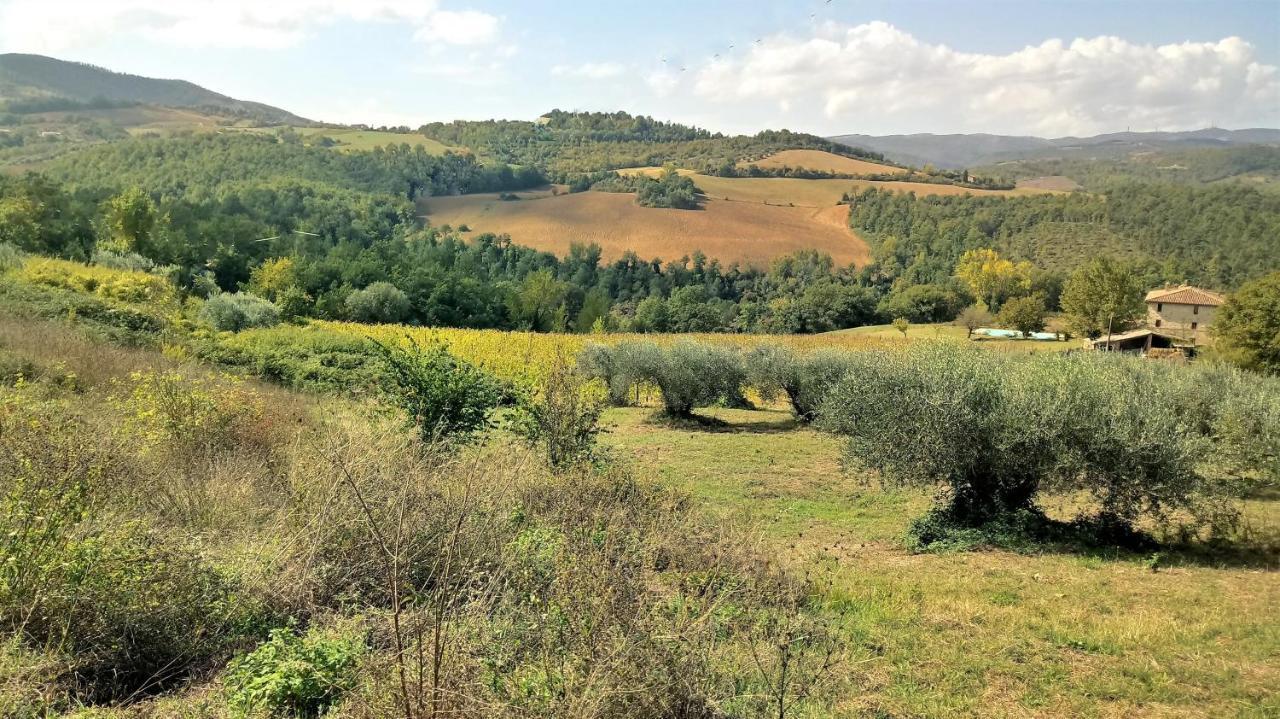 モンテ・カステッロ・ディ・ヴィービオ Campo Al Vento - Country Farmヴィラ エクステリア 写真